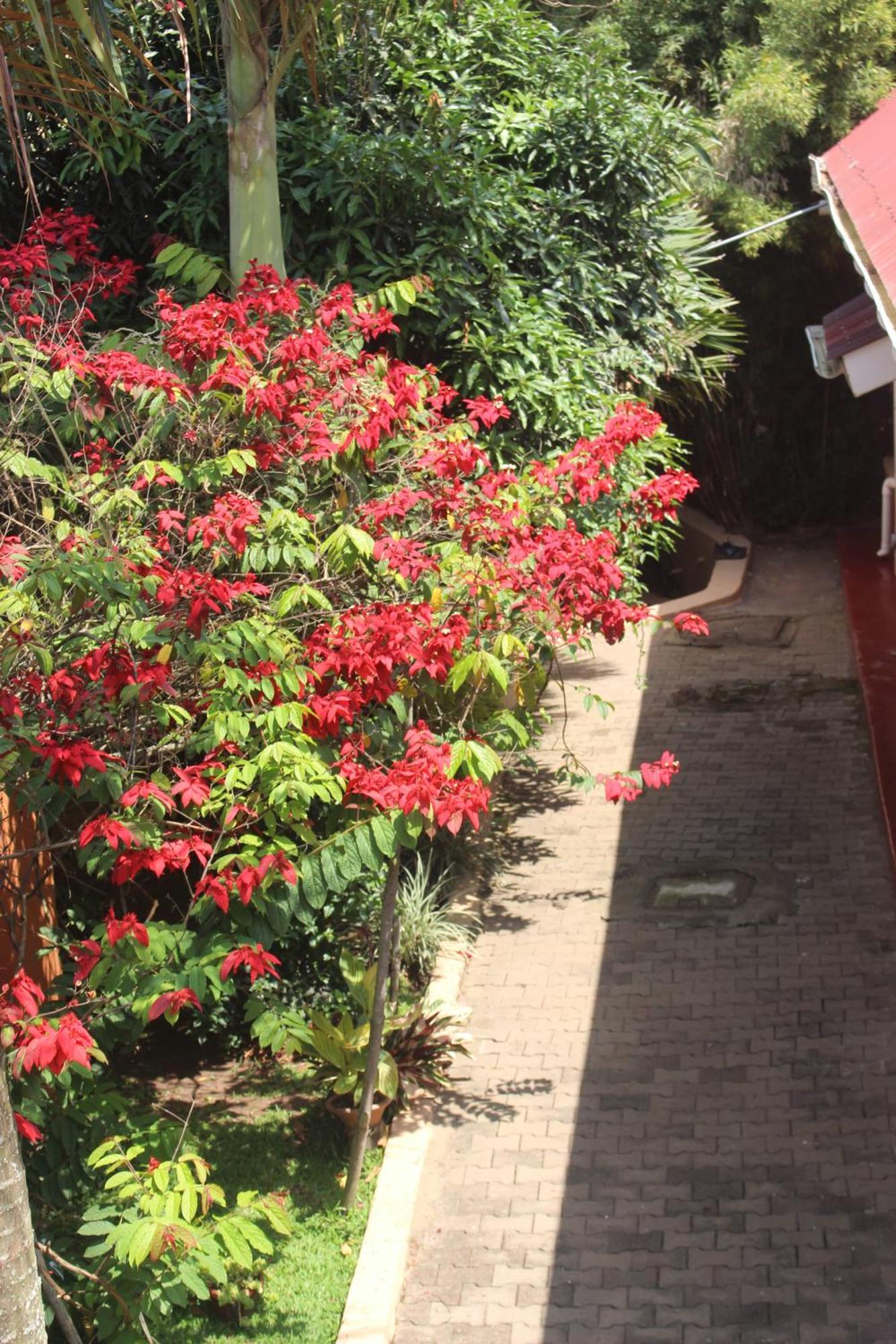 Montane Safaris Hotel Fort Portal Экстерьер фото